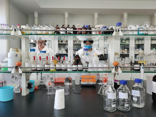 兽药与兽用生物制品的全产业链发展 从研发生产到技术推广与进出口